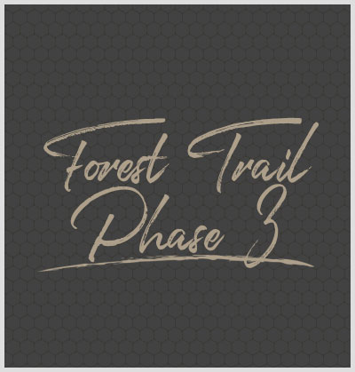 Forest Trail Phase 3